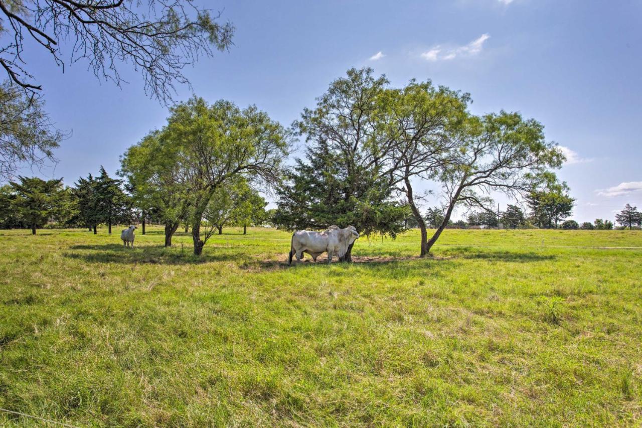 Texas Cabin On 130 Acres Walk To Lake Ray Roberts Collinsville 외부 사진
